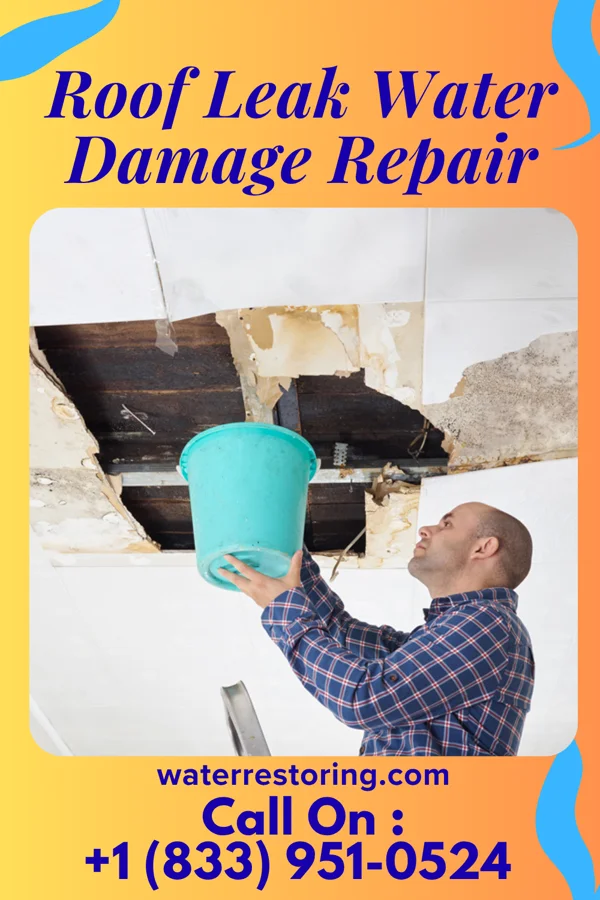 Roof Leak Water Damage Repair in Clarendon Hills, IL
