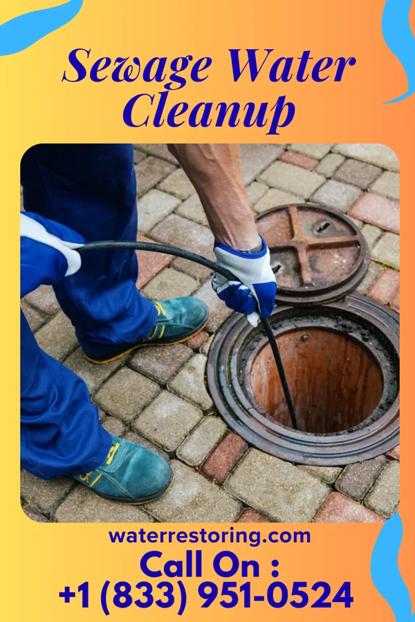 Sewage Water Cleanup in Clarendon Hills, IL